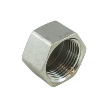 DOP BSP 1/2 FILET EXTERIOR