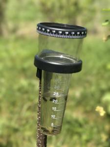 PLUVIOMETRU VM-808145