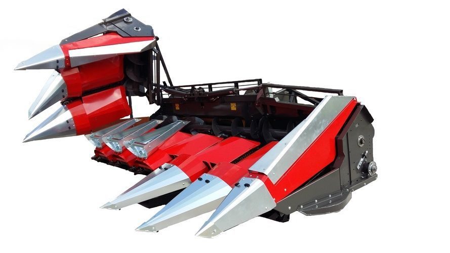 SAIBA ELASTICA (RESORT) DBF 359112009