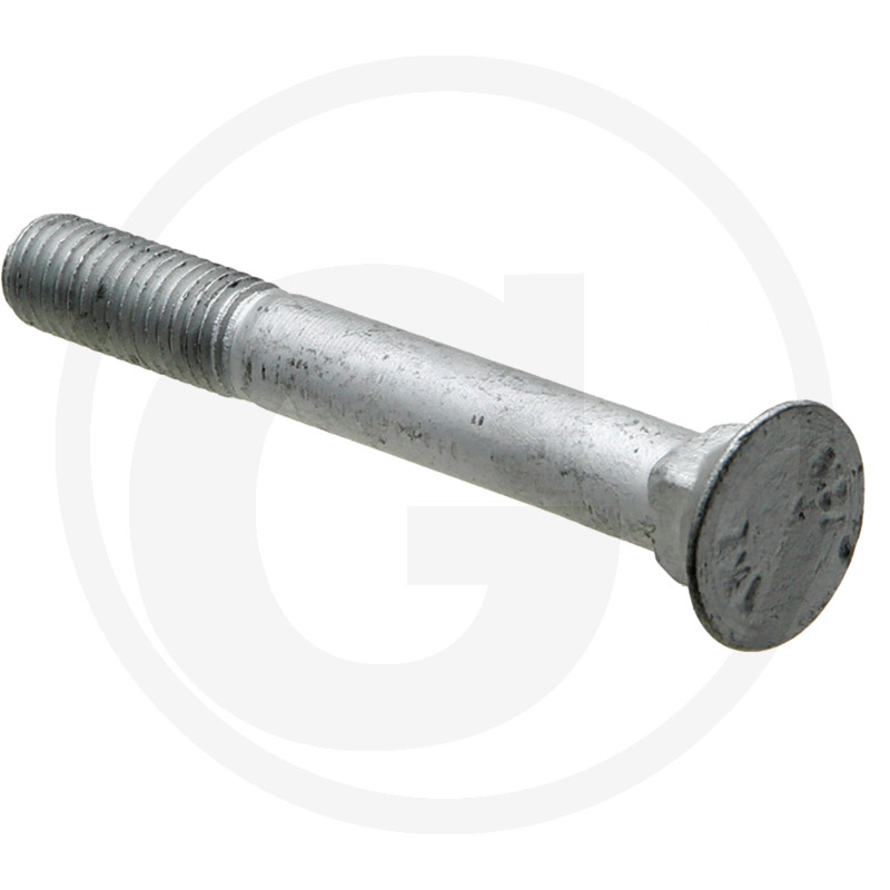 00310809 SURUB DALTA HORSCH M12*95 PF 12.9