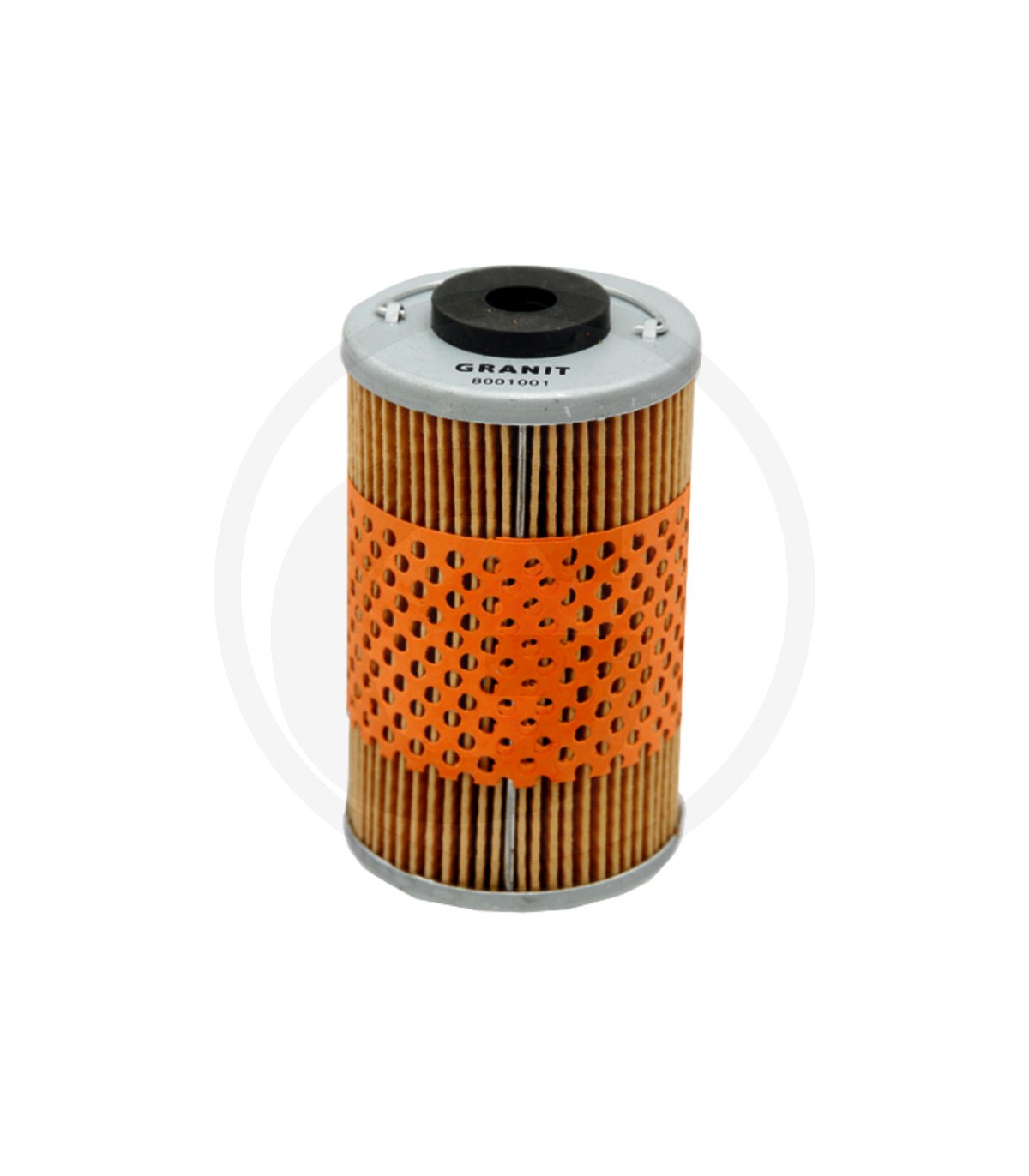 C20 FILTRU MOTORINA 8001001(1909113)