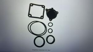 10002514 SET GARNITURI MOTOPOMPA 2TOLI