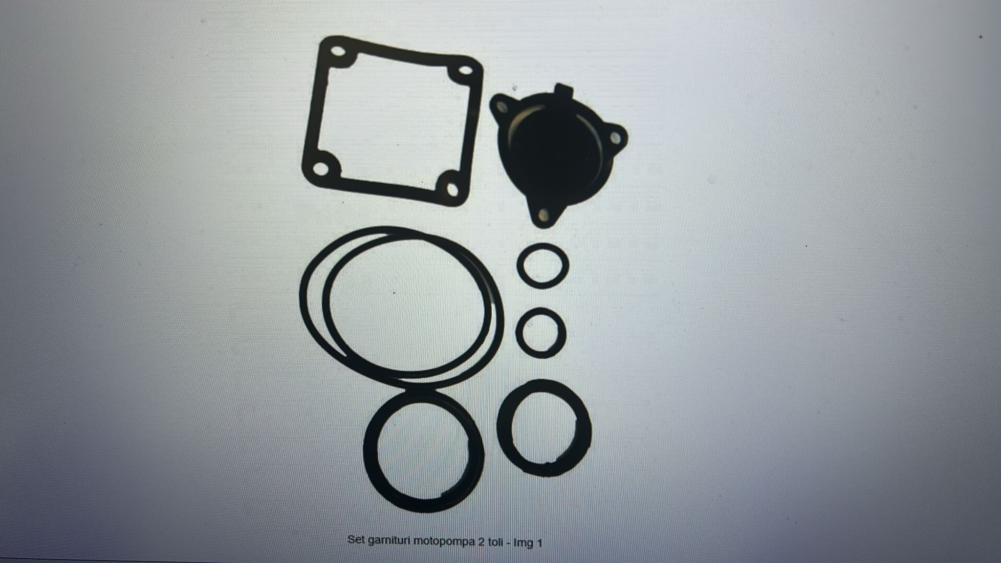 10002514 SET GARNITURI MOTOPOMPA 2TOLI