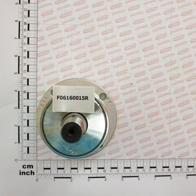 D19 F06160015R LAGAR MASCHIO GASPARDO 18046 RA133200 117*98/68 GAURA 12*1.25