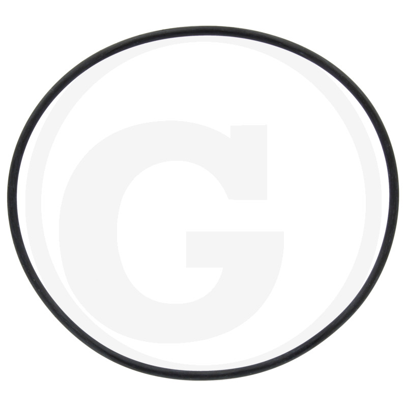 G10090 ORING 74.63*5.34 PT SITA FILTRU MET