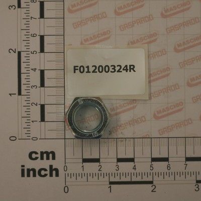 F01200324R PIULITA M16*2 MASCHIO GASPARDO U5588 8.8ZN