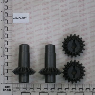 G22270389R SET PINIOANE CUTIE TRANSMISIE MASCHIO GASPARDO