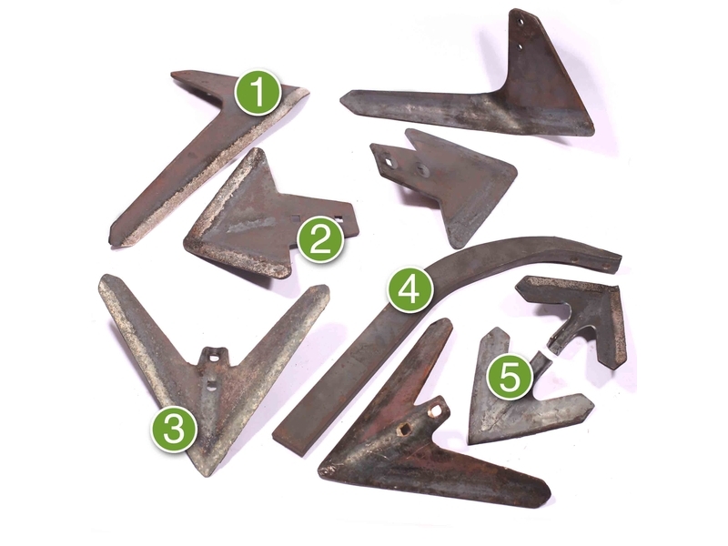 ARIPIOARA RARITA MARE(SUB 2A)