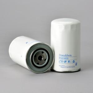 (33)FILTRU MOT P551605