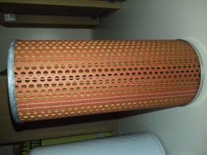 C6 FILTRU ULEI SO4175(P550315)