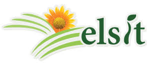 E54 PIEPT CORMANA STG 226.01.26.2