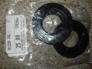 DR12260 INEL