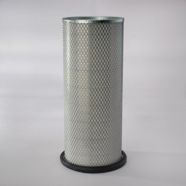 C15 FILTRU AER P121560