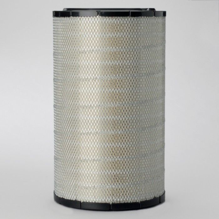 C42 FILTRU AER P548900 CASE